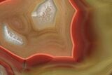 Colorful, Polished Condor Agate - Argentina #207249-1